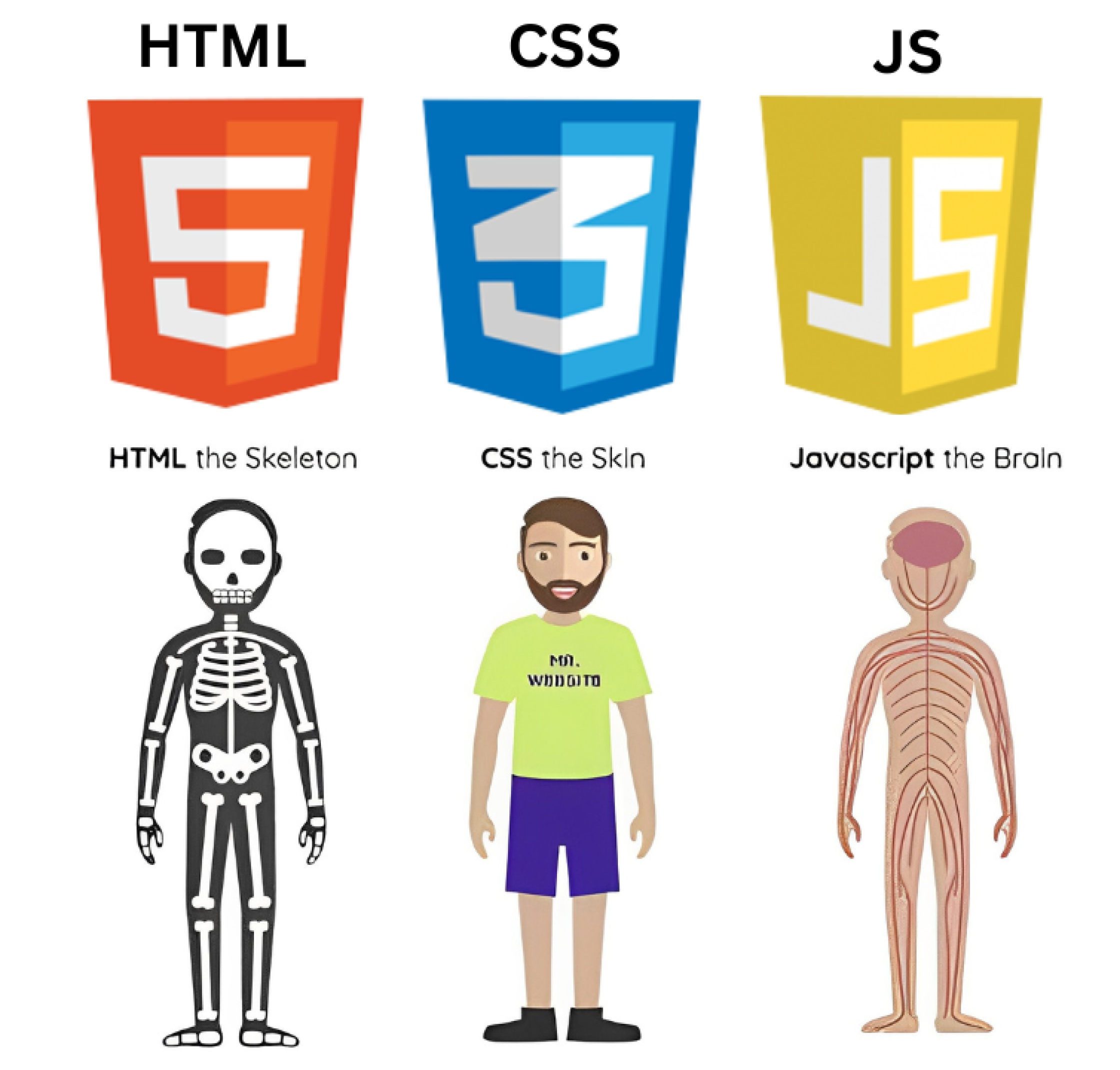 Discover the Differences Between HTML, CSS, and Javascript - Golden Owl