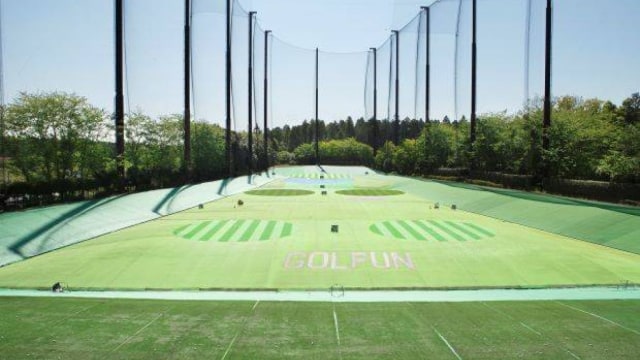 ザ・ゴルファン