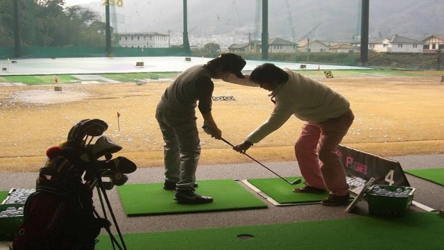 ピーズリンクス のサムネイル