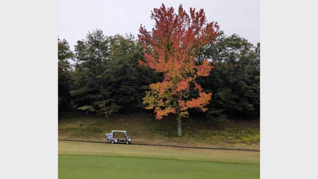 施設イメージ_1