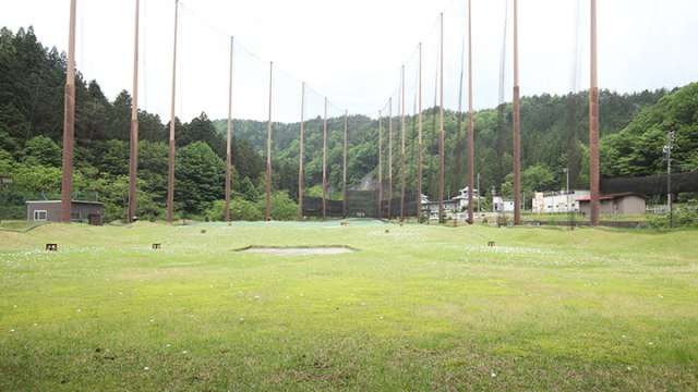 ピピン のサムネイル