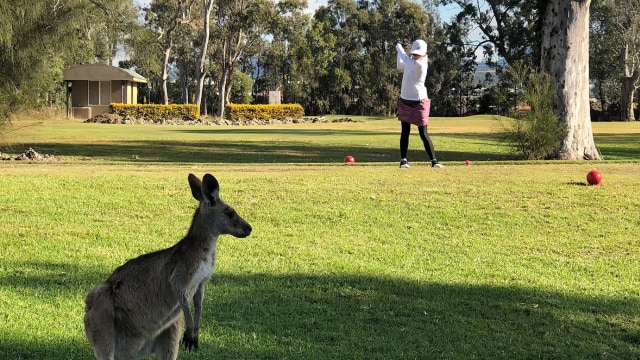 ゴールドワンゴルフスクール SHARE GOLF YAGOTO