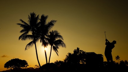 Sommer, Sonne, Sonnenschein auf Oahu