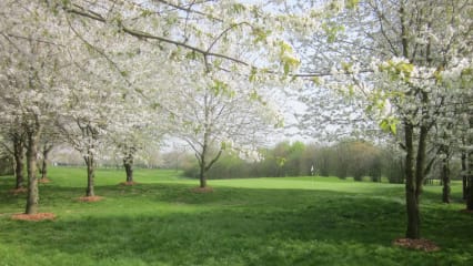 Golf spielen am Niederrhein - Golfen mit low budget - das geht hier am schönen Niederrhein besonders gut.