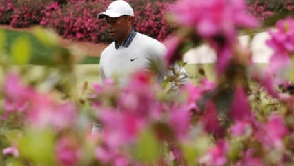 Tiger Woods' Moving Day in Bildern