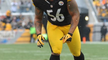 PLATZ 19: LaMarr Woodley von den Pittsburgh Steelers kommt auf 26,5 Millionen Dollar pro Jahr. (Foto: Getty)