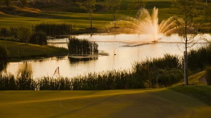 Der Kölner Golfclub legt großen Wert auf eine weitestgehend naturnahe Landschaftspflege und verzichtet dabei komplett auf Chemie. (Foto: Kölner GC)