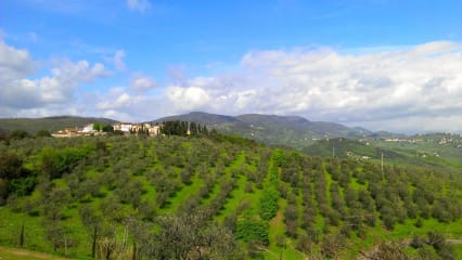 Bella ItaliaErkunden Sie die regionalen Besonderheiten Italiens mit dem eigenen Wagen. In Nord- und Mittelitalien warten zahlreiche spannende Landschaften. kulinarische Erlebnisse und natürlich Golfplätze darauf, entdeckt zu werden.(Foto: ruhrtours GmbH Reisen)