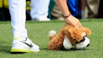 Rory McIlroy auf Rettungsmission. Nachdem seine Hundeschlägerhaube auf dem Boden lag, legte er selbst Hand an und rettete den Hund, der eigentlich seinen Driver schützen sollte.(Foto: Getty)