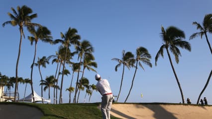 Sony Open 2014