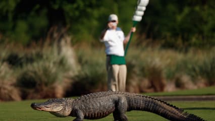 Zurich Classic in New Orleans