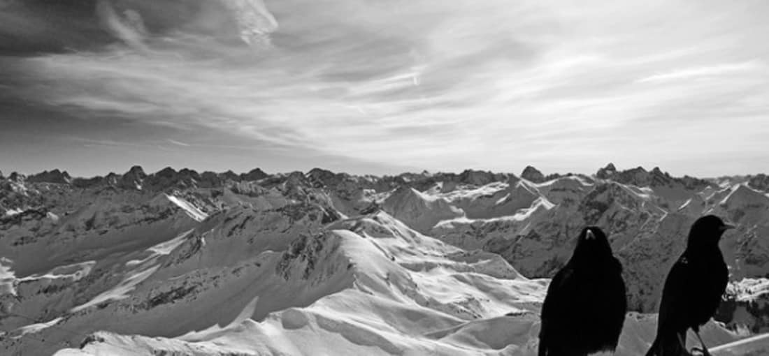 <h2>Nebelhorn</h2>
Und warum nicht schön gesellig die Winterlandschaft genießen (Foto: flickr).
