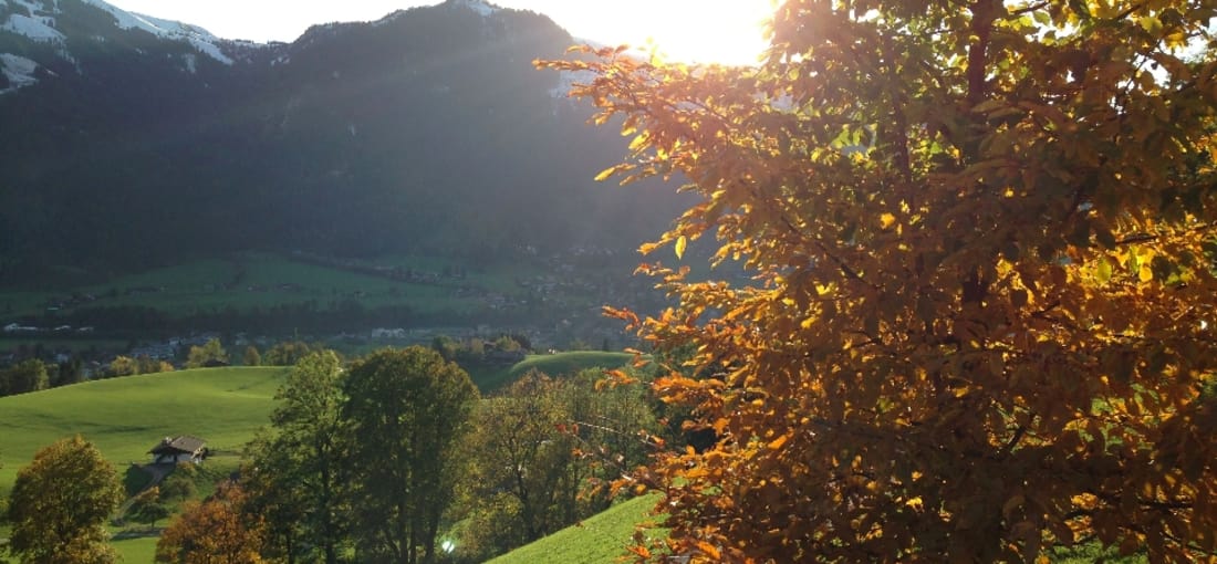 Blick auf Kitzbühel