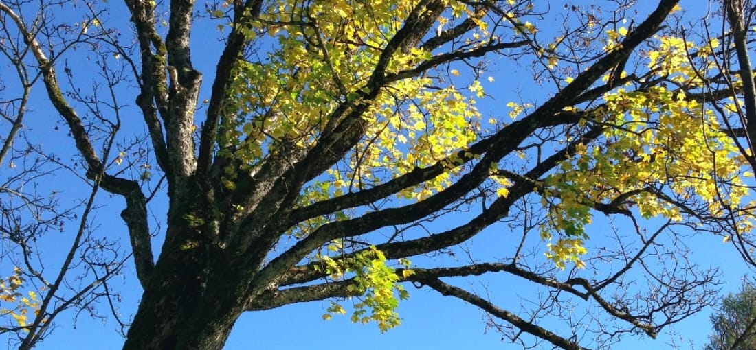 Atemberaubende Landschaft lädt zum Herbstgolf ein.