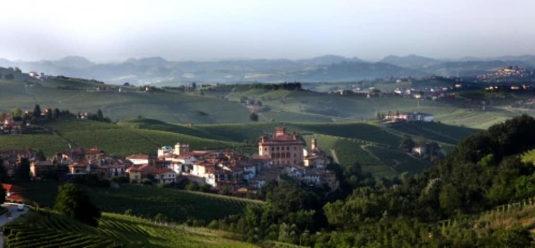 Das Städtchen Barolo liegt nicht auf einem Berg, sondern in einem Tal. Für die Gegend ist dies sehr ungewöhnlich. (Foto: Weihrauch)