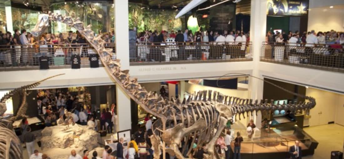Houston hat daneben viele kulturelle Highlights zu bieten und verfügt über einen riesigen Theater- und Museumsdistrikt. In Downtown befindet sich etwa das Museum of Natural Science, welches Sie mit dem CityPass ebenso wie die bereits genannten Sehenswürdigkeiten besichtigen können. Im Rahmen zahlreicher Ausstellungen widmet man sich hier beispielsweise den Knochen von Dinosauriern, der Rotation der Erde oder ägyptischen Artefakten. Angegliedert ist außerdem ein Schmetterlingshaus. (Foto: Greater Houston Convention & Visitors Bureau)