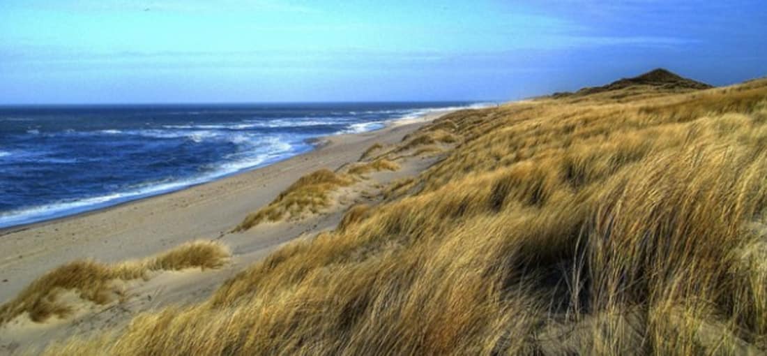 <h2>Dünenlandschaften</h2>
Die Dünenlandschaften auf Sylt bieten auf der einen Seite Schutz und laden auf der anderen Seite zu schönen Spaziergängen ein (Foto: flickr).