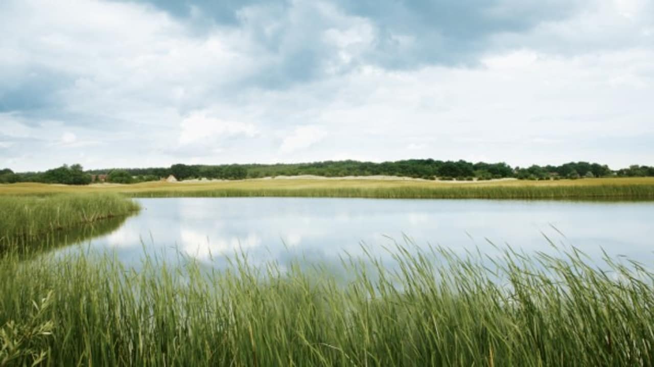 (Foto: A-ROSA Scharmützelsee)