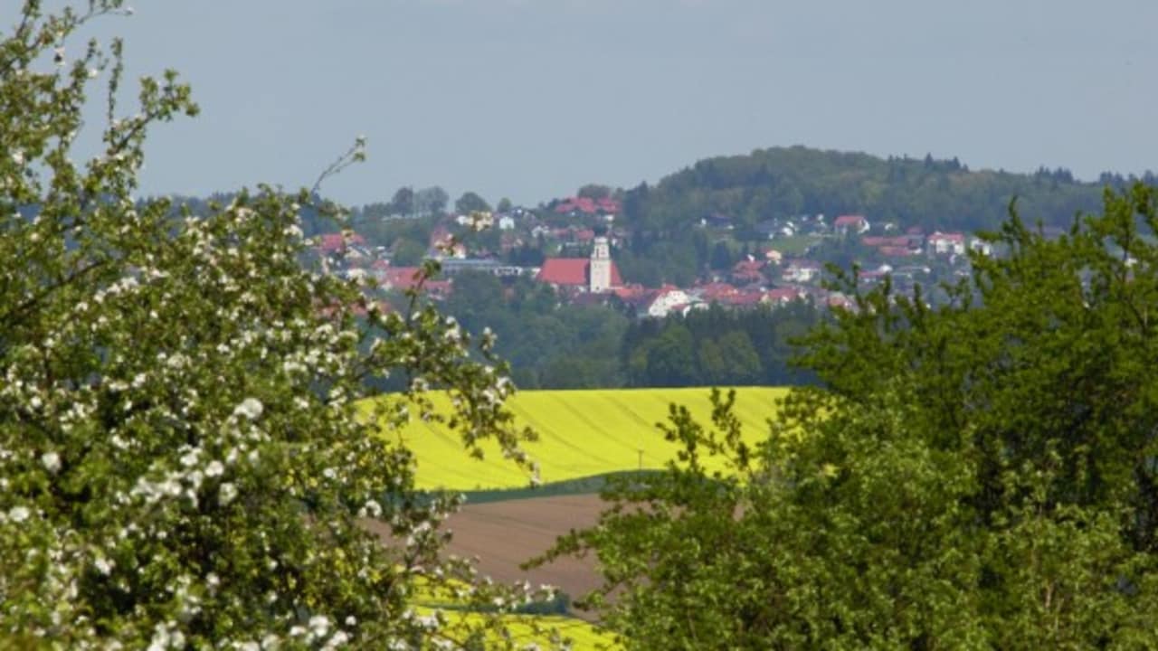 <h2>Bad Griesbach im Rottal</h2>
Das größte zusammenhängende Golf Ressort Europas.
