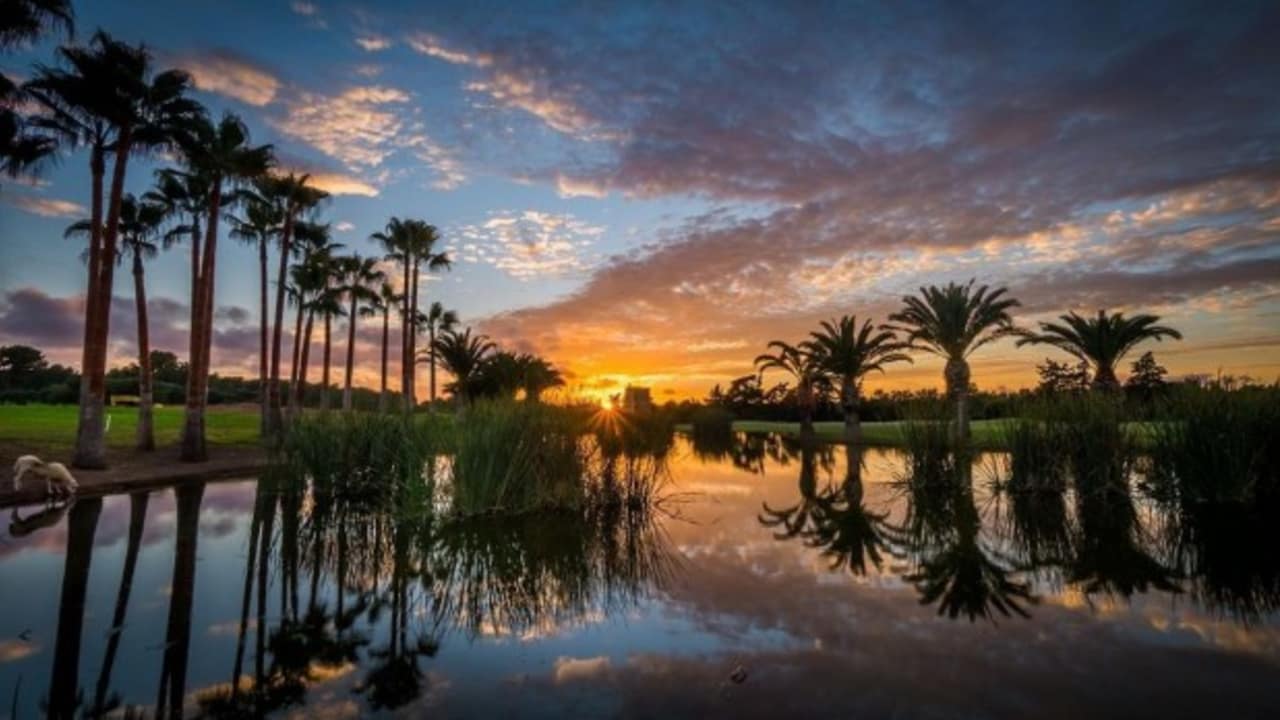 Auf Mallorca befinden sich mehr als 20 Golfplätze. Alle Golfclubs bieten ihren Mitgliedern und Gästen einen ausgesprochen guten Pflegezustand und einen sehr guten Service. Aus diesem Grund zählt Mallorca bereits seit Jahren zu den beliebtesten Golf-Destinationen in Europa. Der T Golf & Country Club Poniente ist eine große Herausforderung für alle Spieler. Während des Spiels kann man zwischen Pinien und Olivenbäumen einen herrlichen Blick auf die Berge der Sierra de Tramuntana genießen. ( Foto: T Golf & Country Club Poniente)