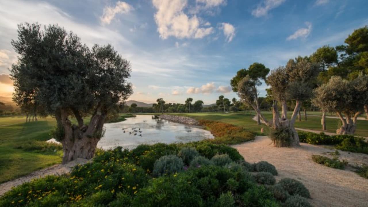 Der Club de Golf Son Servera ist der zweitälteste Golfclub auf Mallorca. Mit traumhaftem Blick auf die Bucht von Cala Millor genießen die Golfspieler ihren Besuch in vollen Zügen. (Foto: Club de Golf Son Servera)