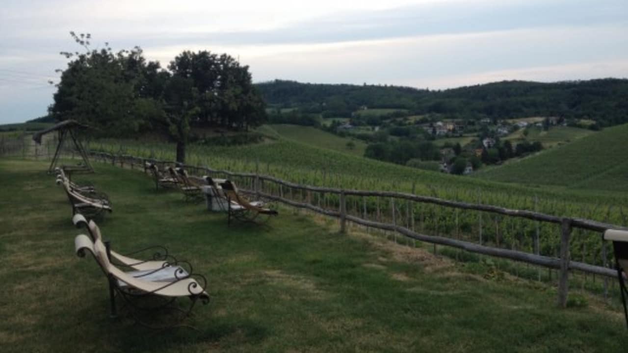 Liegestühle an der Villa Sparina. Von dort genießt der Besucher am besten bei einem Schluck Gavi den Ausblick auf die Weinberge und die Sonne. (Foto: Weihrauch)