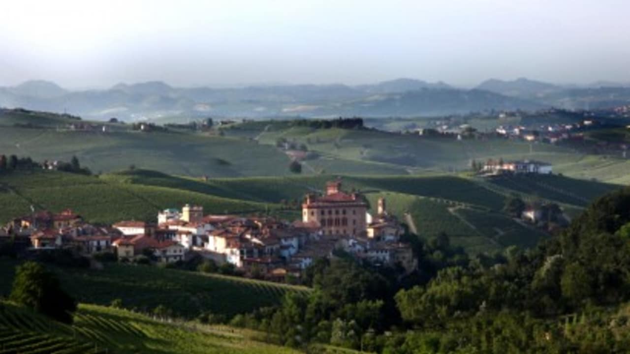 Das Städtchen Barolo liegt nicht auf einem Berg, sondern in einem Tal. Für die Gegend ist dies sehr ungewöhnlich. (Foto: Weihrauch)