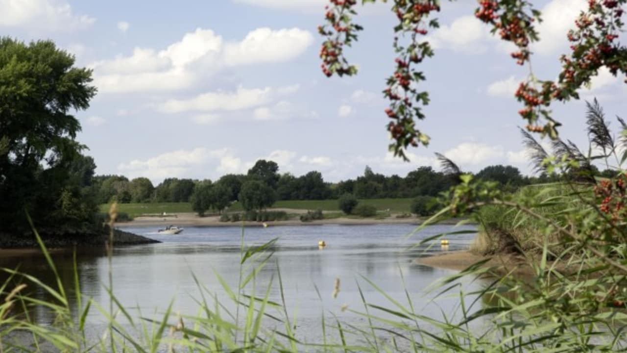 Der Deich Harburg-Winsen (Foto: Hamburg Marketing GmbH)