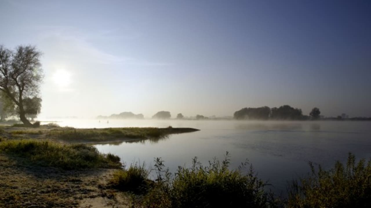 Das Biosphaerenreservat in der Flusslandschaft der Elbe. (Foto: Hamburg Marketing GmbH)