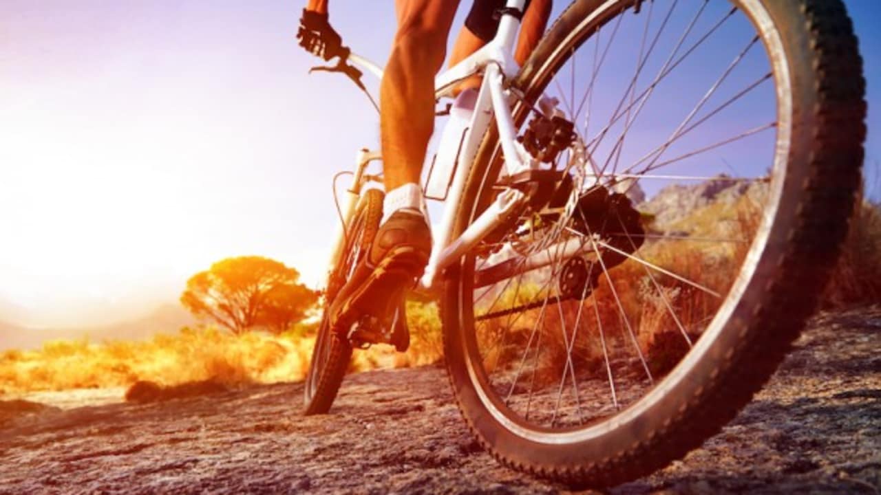 Die Landschaft erkunden mit top-modernen Radon-Bikes.