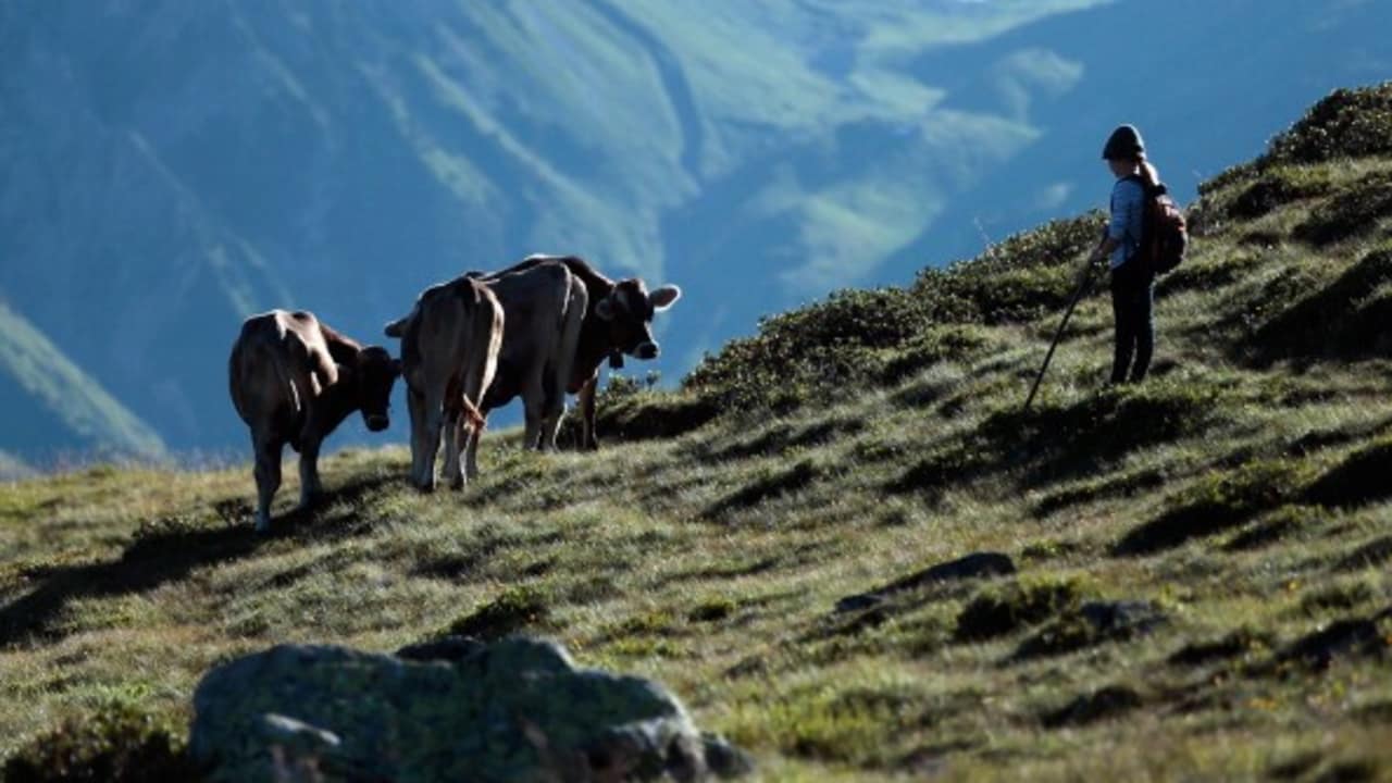 Die Kulisse von Südtirol. (Foto: Getty)