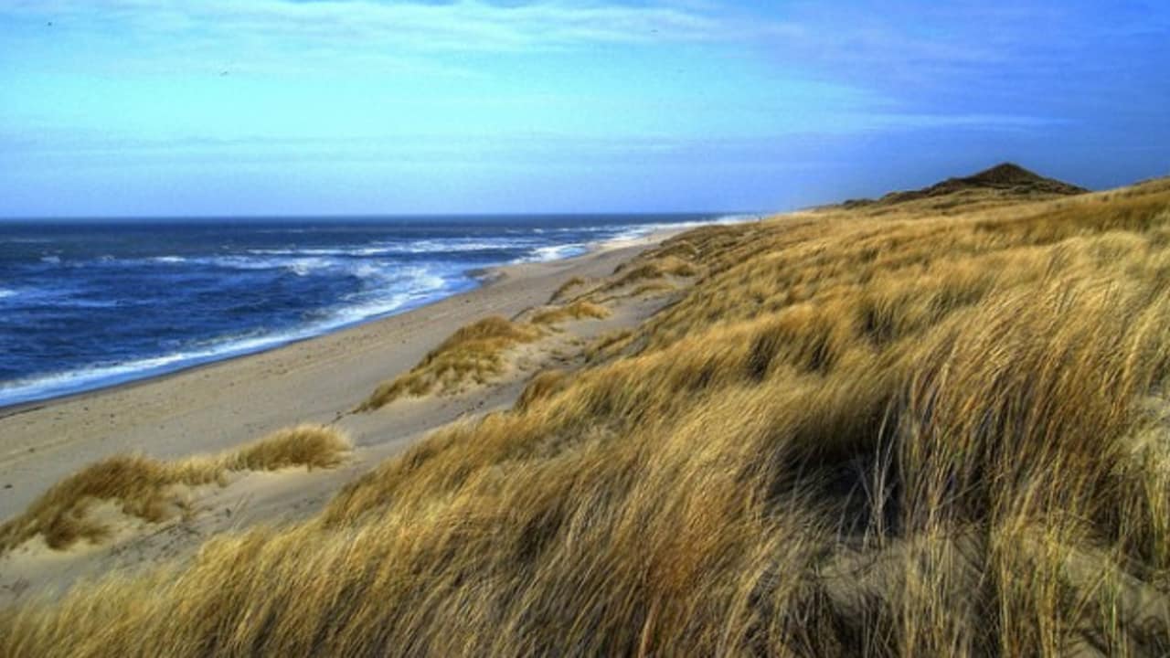 <h2>Dünenlandschaften</h2>
Die Dünenlandschaften auf Sylt bieten auf der einen Seite Schutz und laden auf der anderen Seite zu schönen Spaziergängen ein (Foto: flickr).