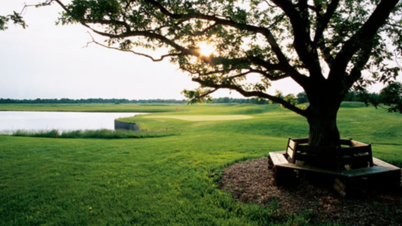 Auch kann man sich während der Golfrunden die Zeit nehmen, um die wunderschöne Natur zu genießen auf dem wunderschönen Golfplatz Gut Apeldör. (Bildquelle: Gut Apeldör)