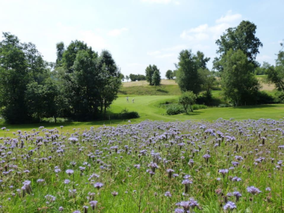 10_GP_2018_Greenfee_Aktion_Overbach_1