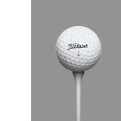 Titleist DT TruSoft Golfball