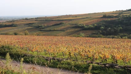 Bourgogne-Franche-Comté