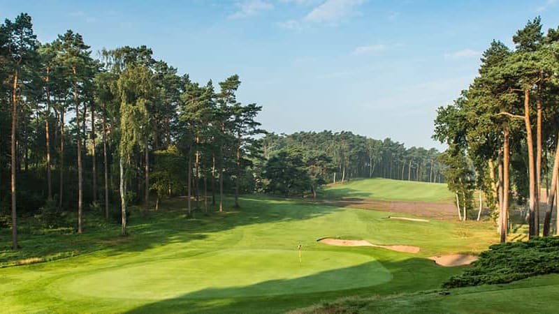 Golf in Hamburg: „Elphi“, Ente...