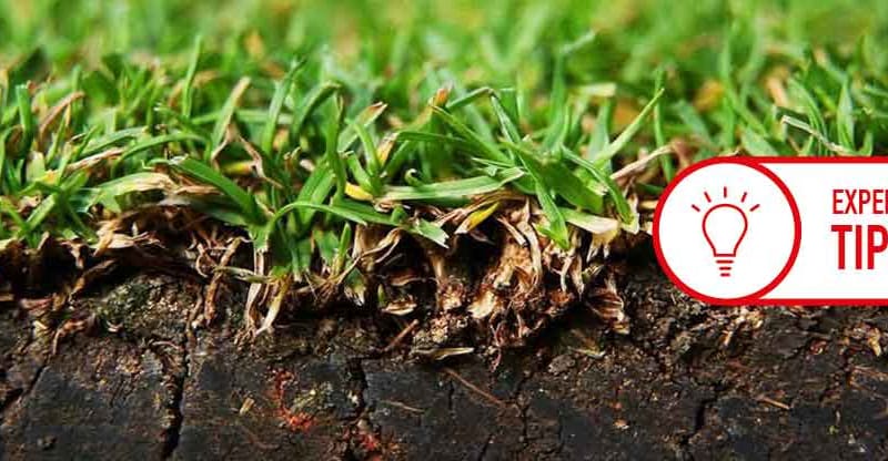 Greenkeeping: Wissen Sie eigen...