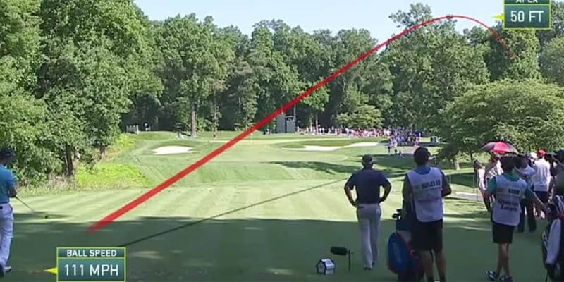 Best-Of: Die besten Shank-Vide...