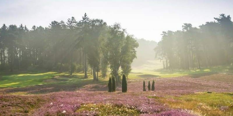 Final Four: Auf diesen Golfplä...