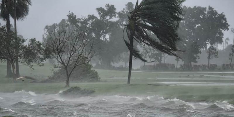 Stenson, Donald, Woods und Co....