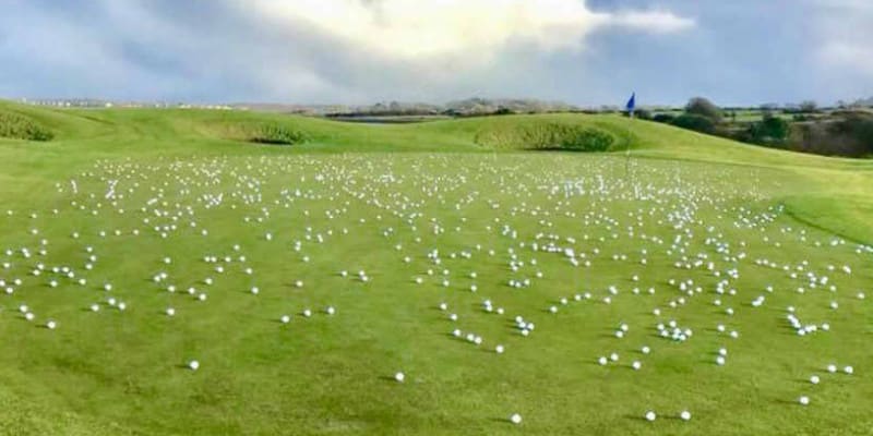 Greenkeeper setzten Zeichen ge...