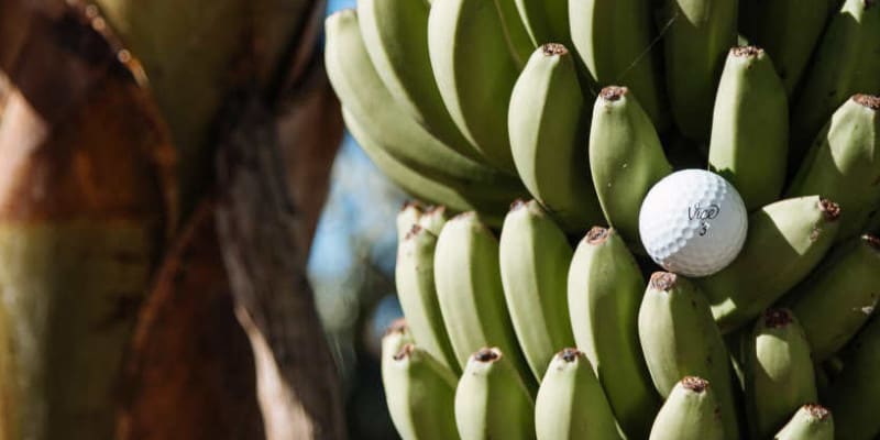 Vice Golf mit exklusivem Spons...