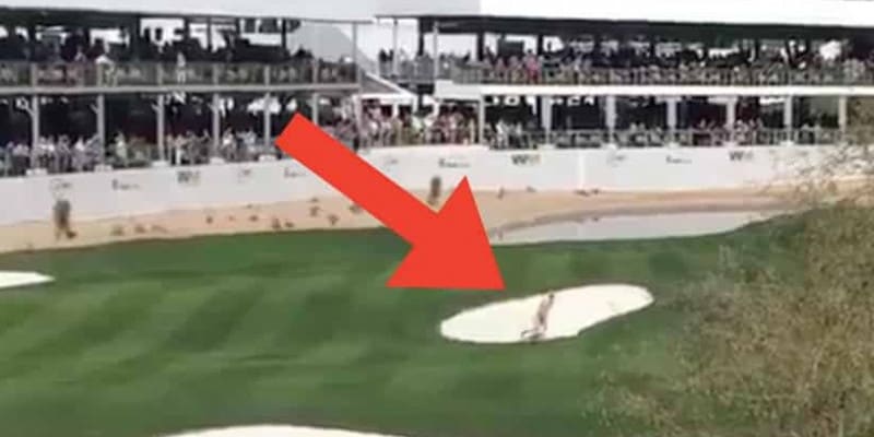 Nackte Tatsachen bei der Waste...