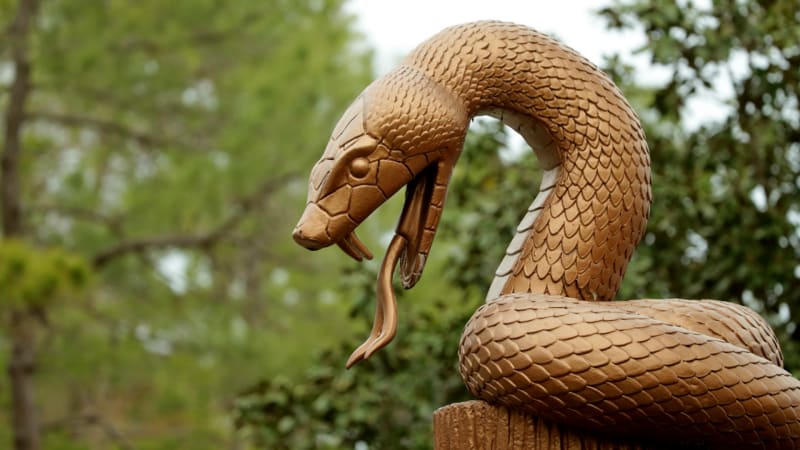 Wochenvorschau: Cejka und Jäge...