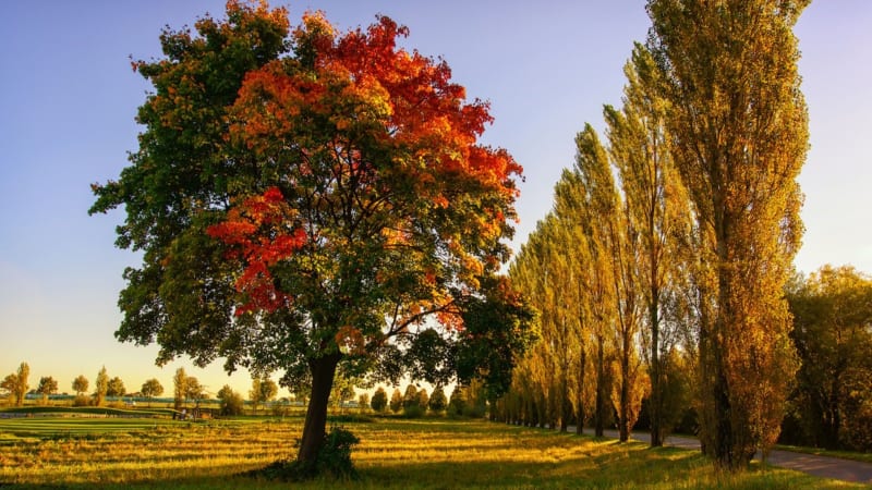 Der Golfpark München Aschheim...