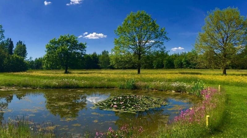 Golfkalender 2020: Der Golfclu...