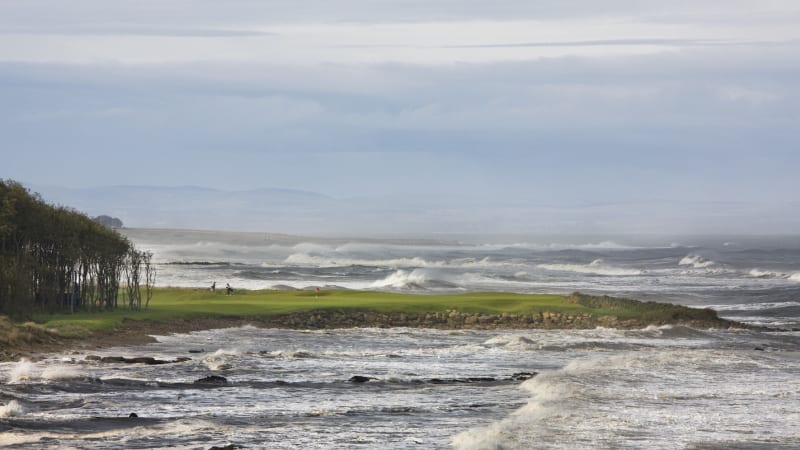 Majestätisch, makellos, mitrei...