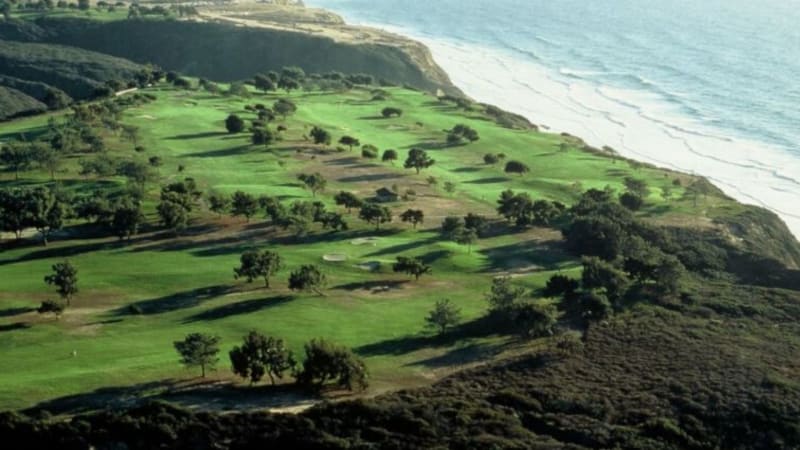 Wochenvorschau: Tiger teet in...