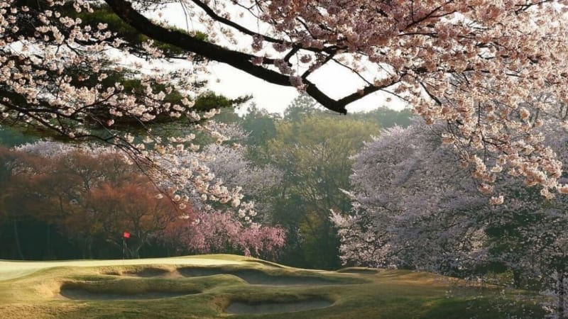 Golf im Frühling: Sonniges Erw...